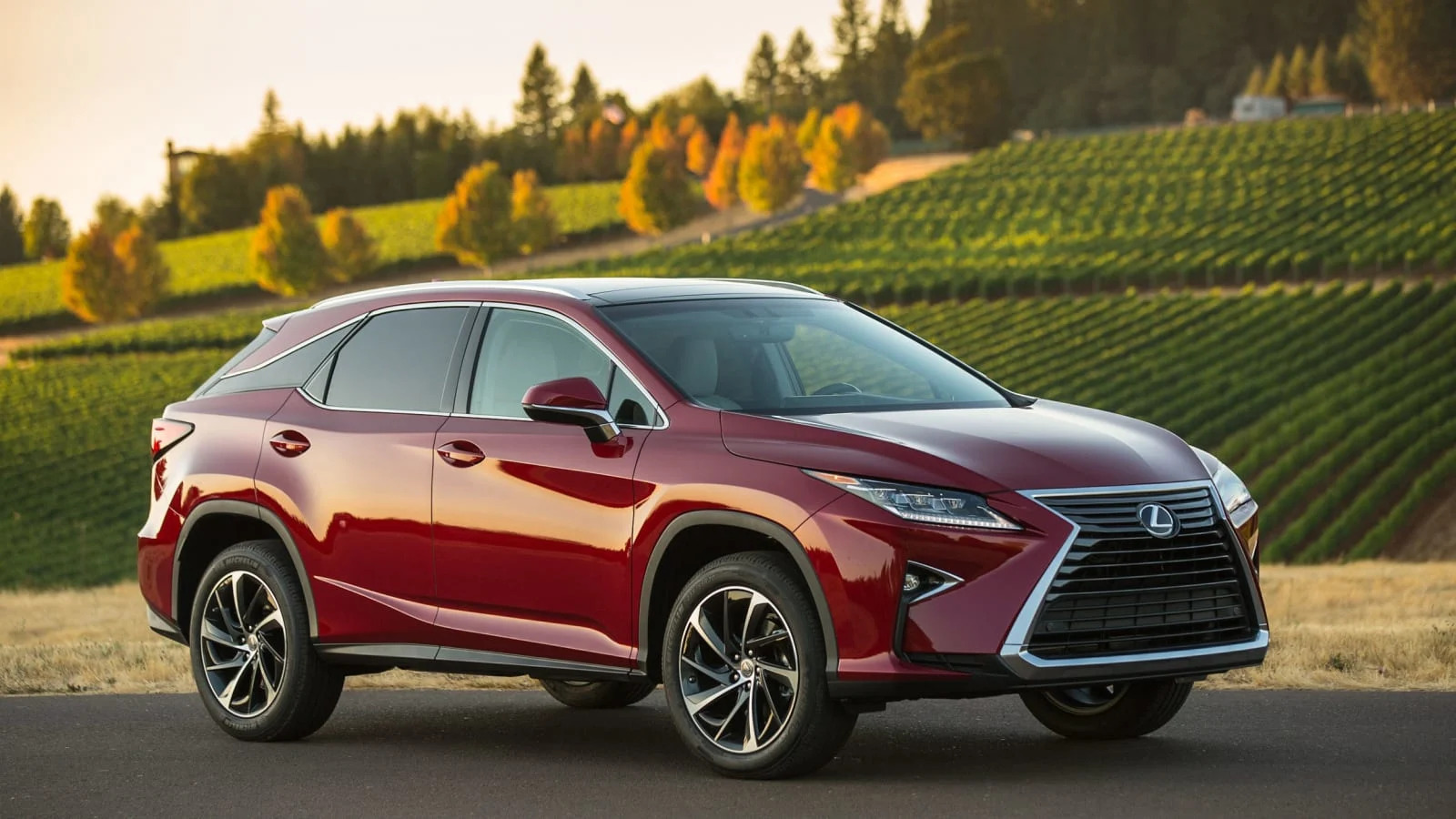 2016 lexus rx