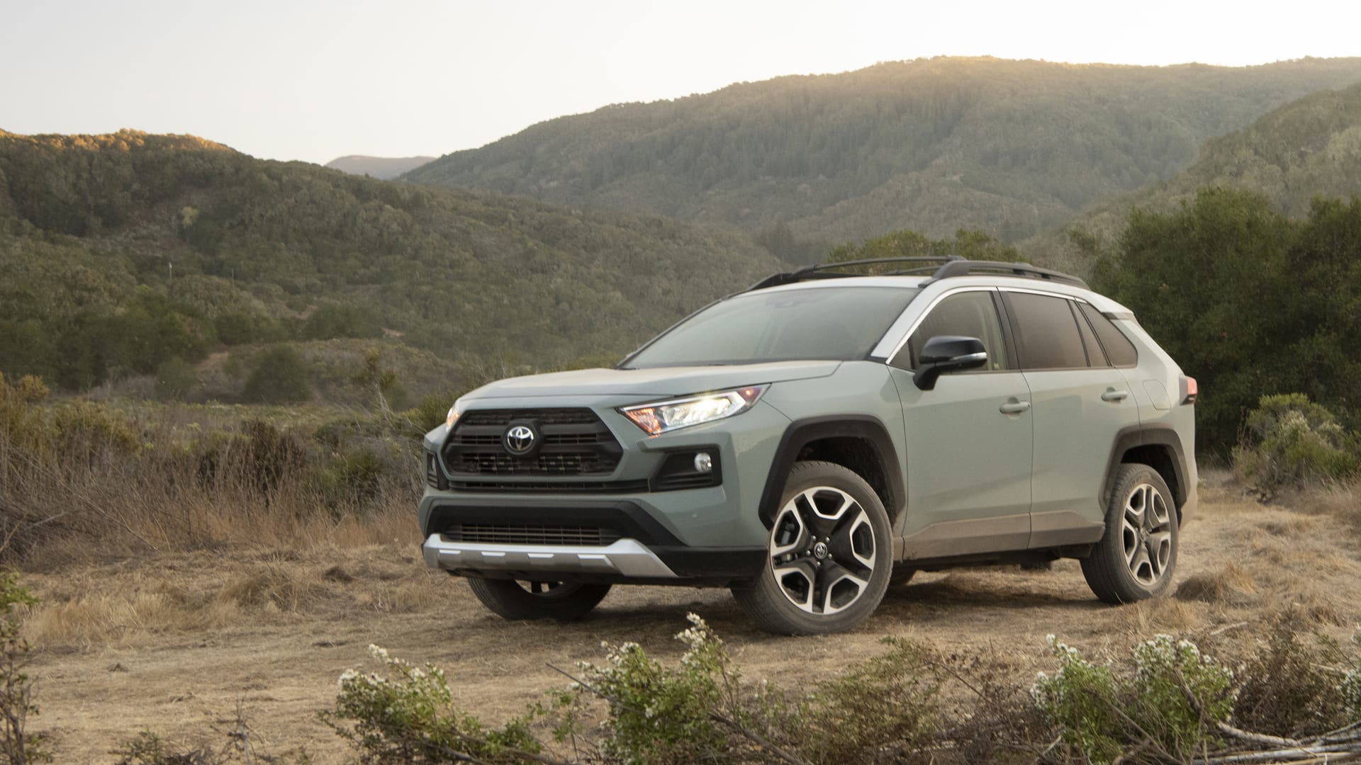 2019 Toyota RAV4 Adventure